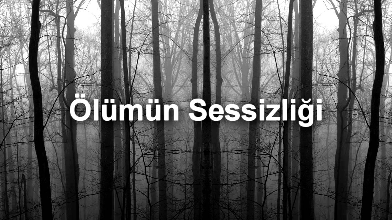 Ölümün Sessizliği: Görünmez Bir Kimliğin Anatomisi